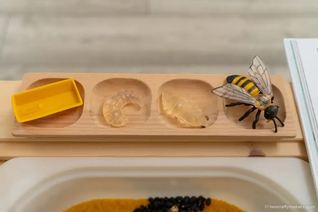 Bee Sensory Bin