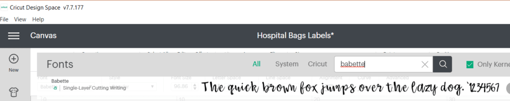 Critcut Hospital Baby Bag Labels