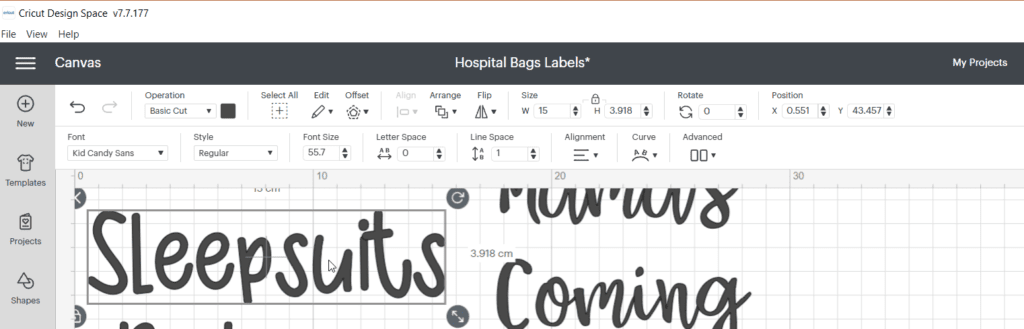 Critcut Hospital Baby Bag Labels